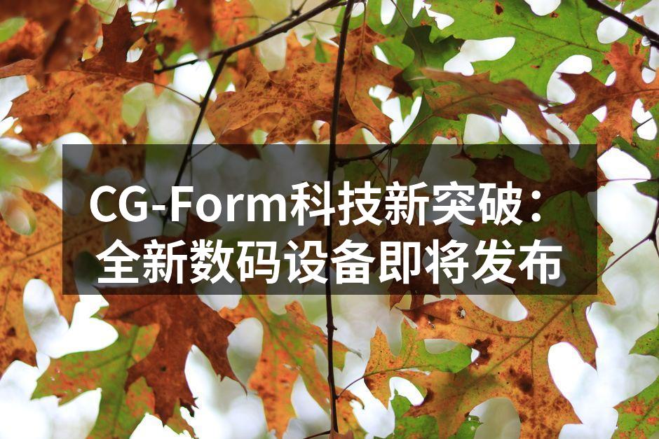 CG-Form全新数码设备即将发布